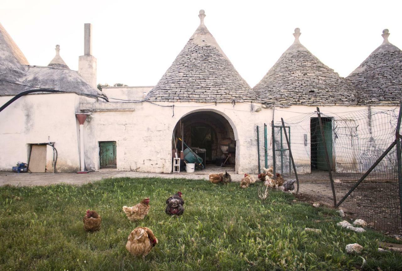 Trulli sul vignale in Masseria Santalachicca Martina Franca Esterno foto